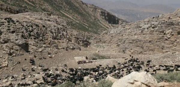  سرزمین عشق در دل سختی‌ها