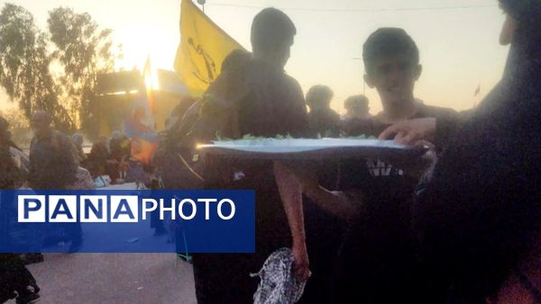 پیاده روی پرشور اربعین حسینی از جاده نجف تا کربلا