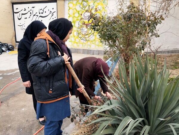 کاشت درخت در هنرستان بصیرت آشخانه