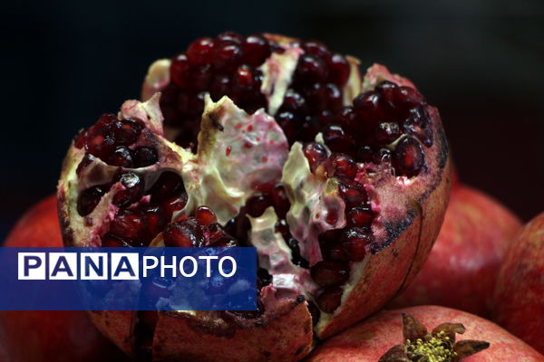 نمایشگاه شب یلدا در باغ دولت‌آباد یزد