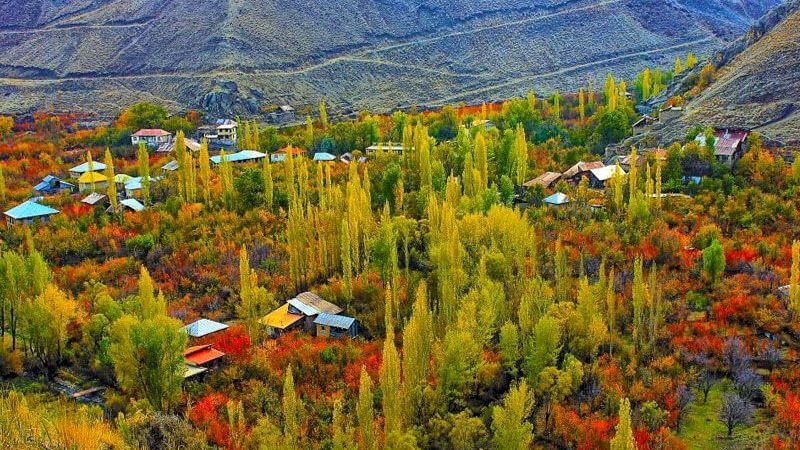 جوان‌ترین استان ایران، روایت‌هایی کهنه از شکوفایی استعدادها دارد
