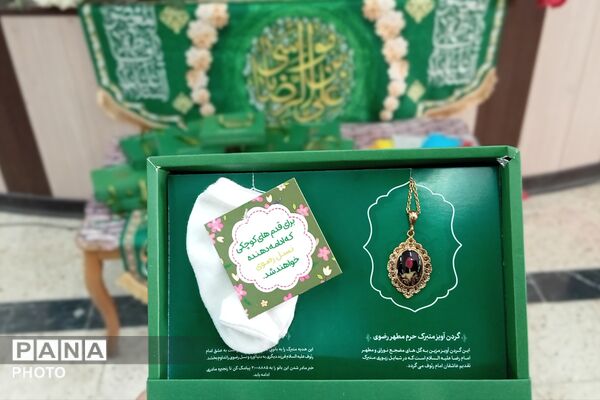 ویژه برنامه «شمین رضوی» در شهر بن 