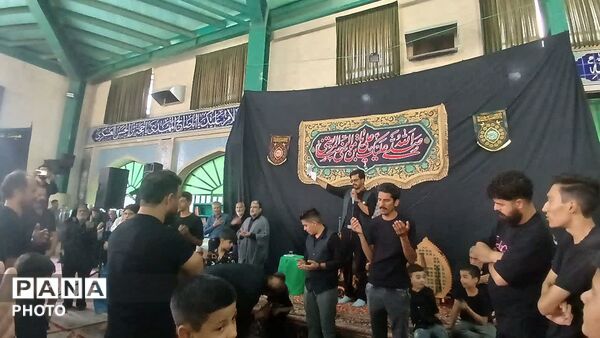 آیین نخل برداری  در محله دشتک سانیج به مناسبت شهادت امام رضا (ع)