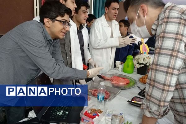 نمایشگاهی از دستاوردهای استعدادهای درخشان