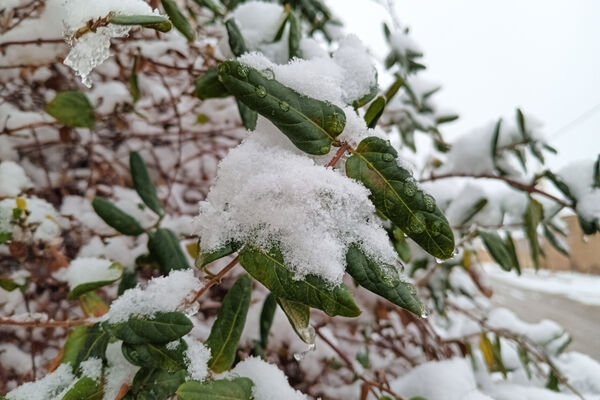 یک روز برفی در روستای بنادکوک‌ دیزه