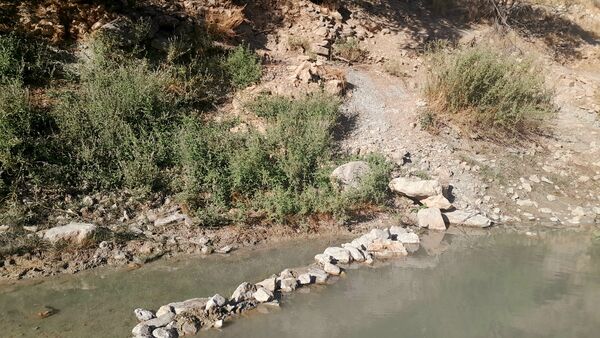روستای برد‌زرد نگینی غریب در شهرستان لنده