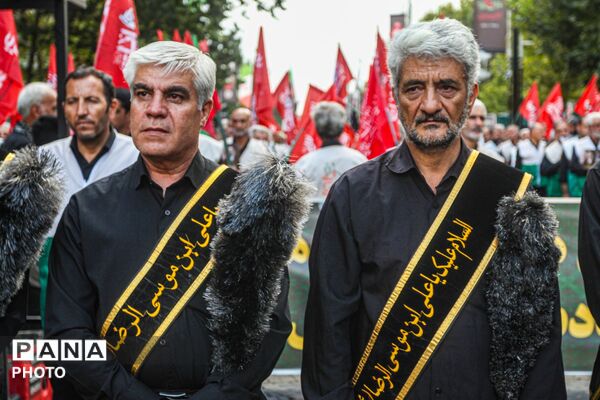 در سوگ شهادت امام رضا(ع)؛ شکوه دسته عزاداری خادمیاران رضوی در زنجان