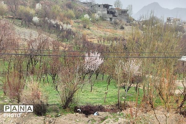 بارش شدید  باران بهاری و اب گرفتگی معابر شهر بار