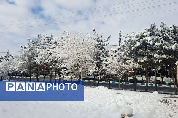 بارش برف شهرستان اقلید را سفید پوش کرد