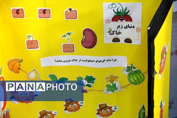 رونمایی از خلاقیت دانش‌آموزان؛ نمایشگاه جابر بن حیان در قیامدشت
