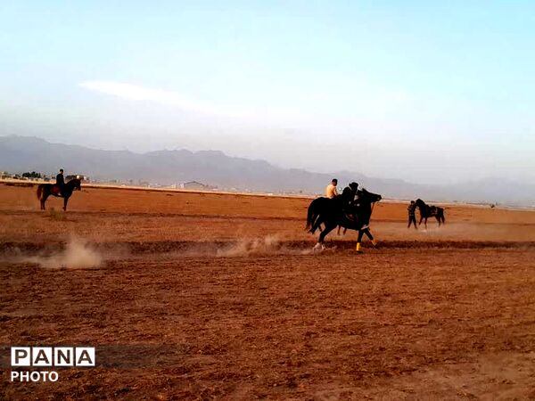 تاخت و تاز خاطره‌ها در فدافن؛ مسابقات اسب‌سواری به نام شهید نظافتی