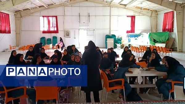 اردوی تمشک در شهرستان سربیشه 