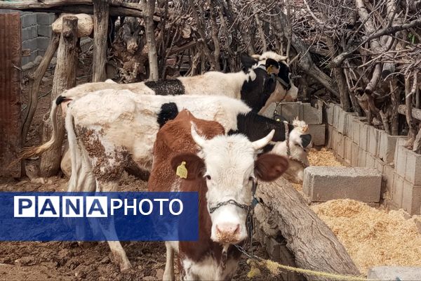 بهار، آغاز دوباره‌ی زندگی طبیعت 