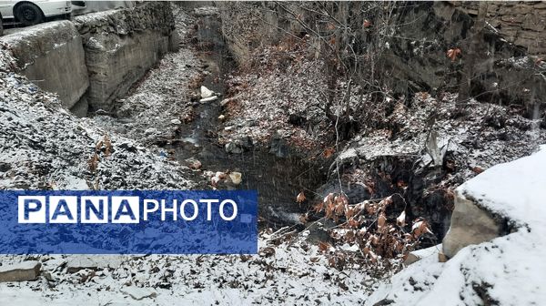 بارش نعمت‌های خداوند در آسمان مشهد