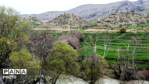 میانکوه شاهد فصل رویش گیاهان