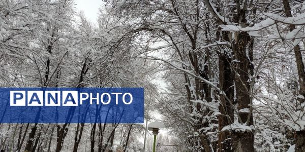 سکوت برفی بروجن، قلب شهر را به تپش انداخت