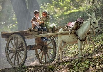 «روماک» در ژانر کودک و نوجوان کلید خورد/ قصه‌ای کودکانه در دهه ۵۰