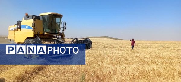 بازدید از مراکز خرید گندم در شهرستان فاروج