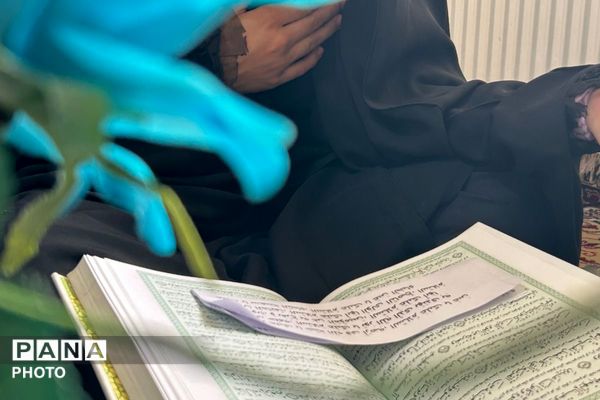 جوانه‌های ایمان در سایه‌سار قرآن