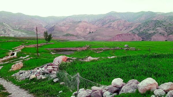 هنر در طبیعت نهفته است
