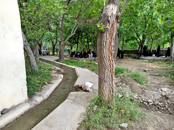بازدید دانش‌آموزان جعفرآباد از کارگاه گلاب‌گیری روستای «بنابر»