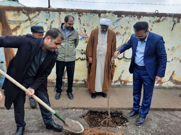 در هفته درختکاری دبیرستان دخترانه فدک تربت جام سرسبزتر شد