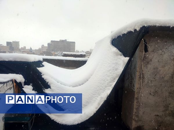 جلوه های زیبا از بارش برف در شهرستان نیشابور 