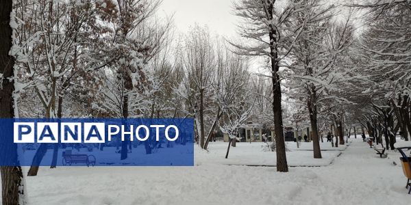 سکوت برفی بروجن، قلب شهر را به تپش انداخت