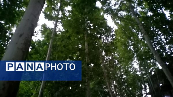 باغ بهادران؛ بهشت کوچکی در اصفهان