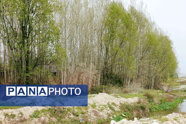 بهار، آغاز دوباره‌ی زندگی طبیعت 