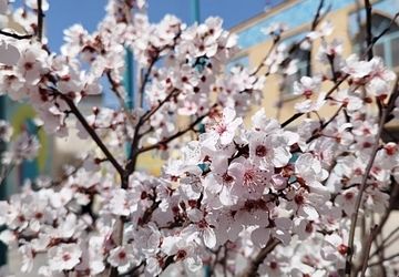 پیام تبریک نوروز ۱۴۰۴ ، تلاقی بهار طبیعت و بهار بندگی