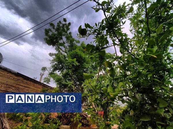 میانکوه در این روز‌ها همچون نگینی سبز می‌درخشد