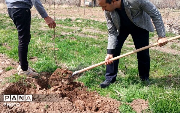 مراسم کاشت نهال در اردوگاه شهید رجایی شهرستان نیشابور