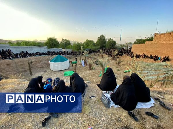 مجموعه عکس«علم از دست علمدار نیفتاده است هنوز»