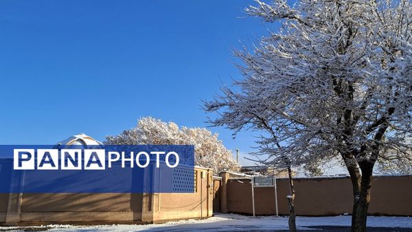 رنگ و بوی زمستان در شهر کهک