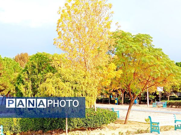 کاشمر در برگریزان پاییز