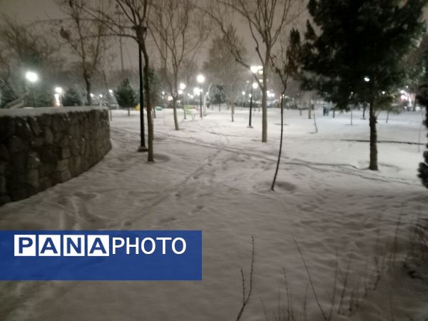بارش برف در شهر مشهد 