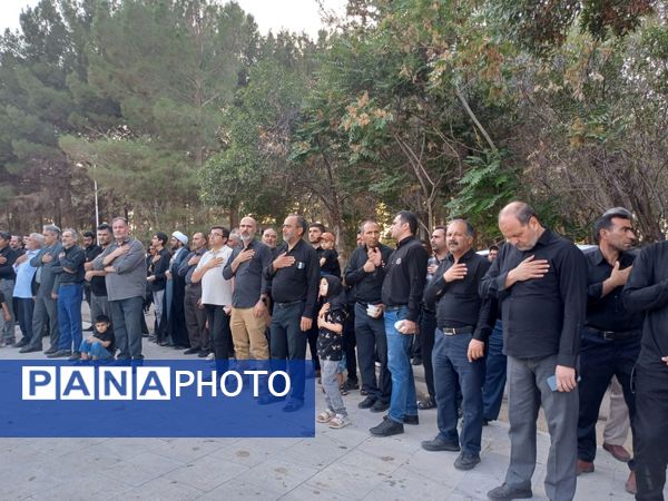 دل به دل، قدم به قدم مسیر عشق اربعین