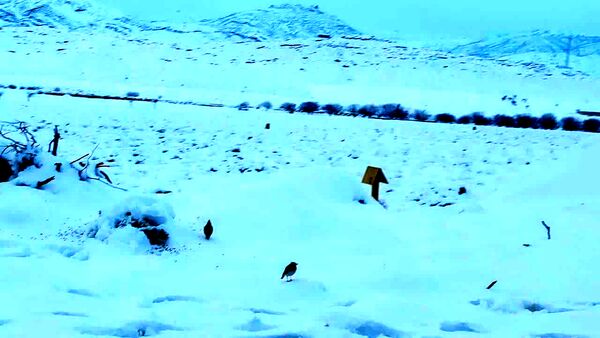 رقص دانه‌های برف در آسمان خاتم؛ شور و هیجان کودکان
