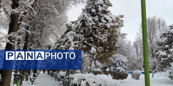 سکوت برفی بروجن، قلب شهر را به تپش انداخت