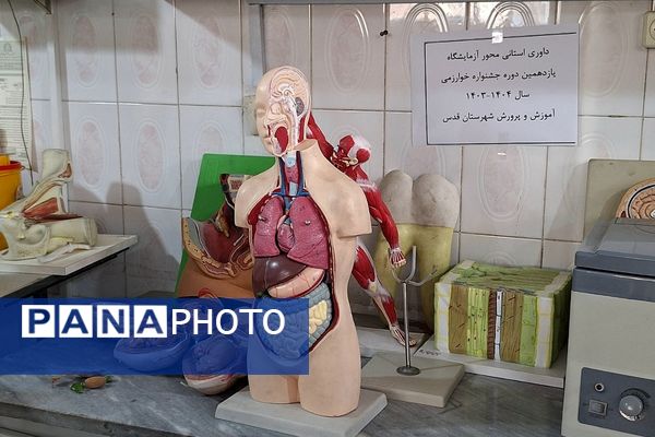 داوری مرحله استانی محور فعالیت های آزمایشگاهی جشنواره نوجوان خوارزمی در پژوهشرای دکتر حسابی