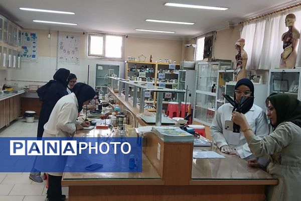 برگزاری مرحله استانی محور علوم آزمایشگاهی به صورت غیرحضوری در ملارد با حضور ۶ تیم برتر