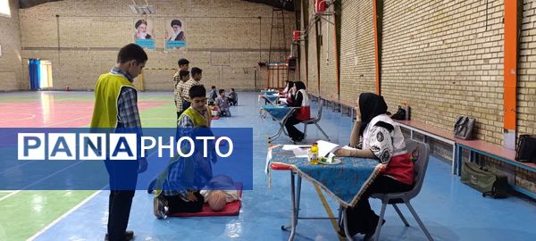 جشنواره مهارت علمی سفیران سلامت