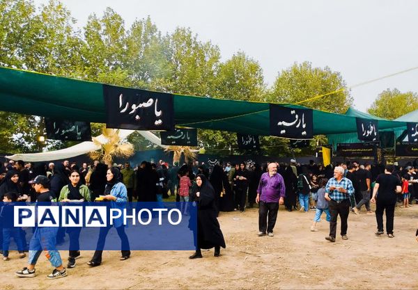 پیاده‌روی جاماندگان اربعین در میاندورود 