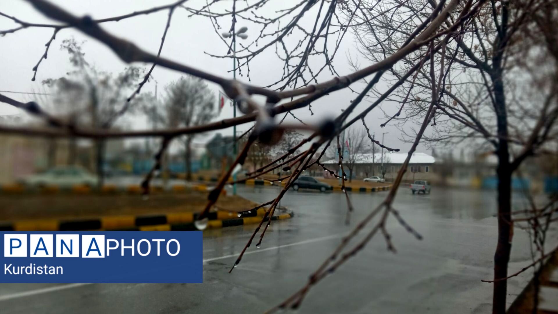 باران؛ دهگلان زیر چتر رحمت الهی