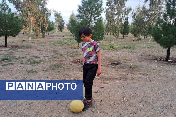 دورهمی روز طبیعت در پارک جنگلی پردیسان قم