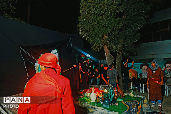 لالایی ناتمام خرابه شام؛ آباده در سوگ دردانه سیدالشهدا(ع)