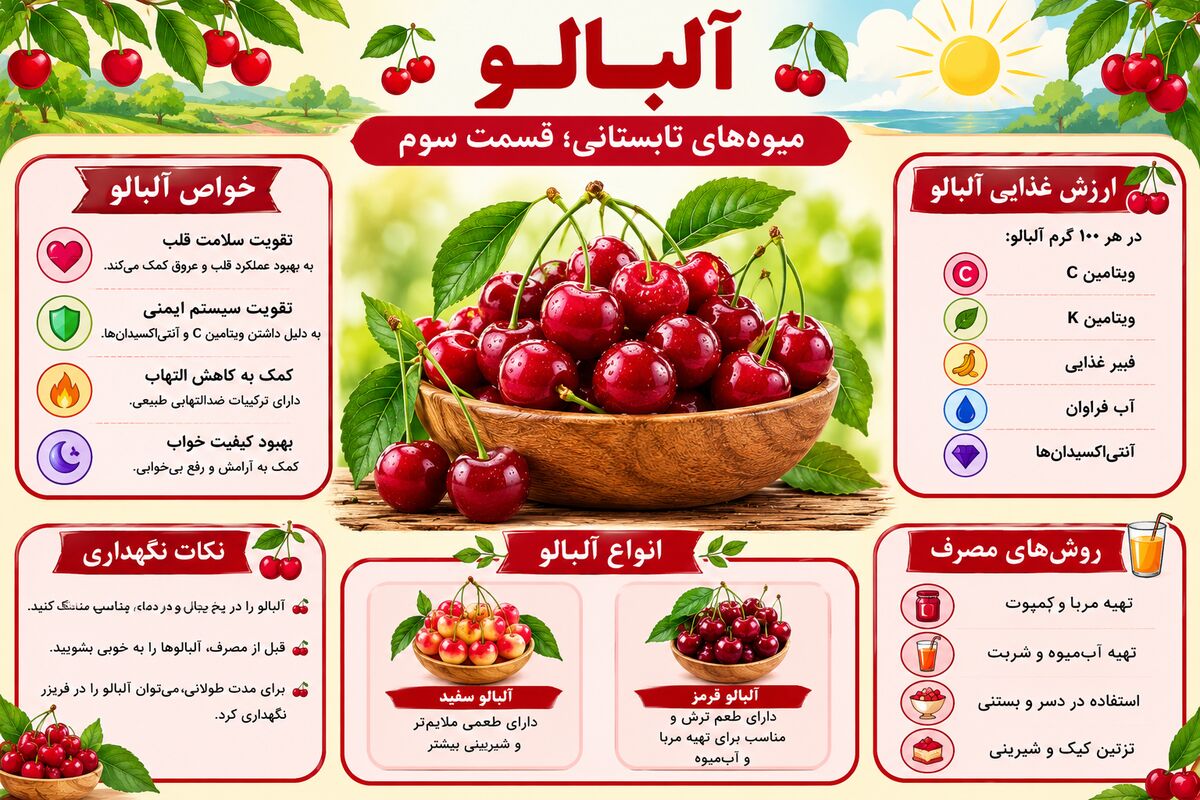 آلبالو؛ ترش و خوش‌رنگِ تابستان