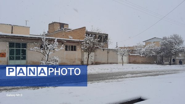 عروس فصل‌ها باری دیگر مهمان شهرستان بن