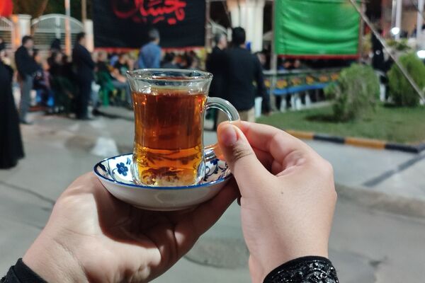 عزاداری دهه اول محرم در آموزش و پرورش فارس